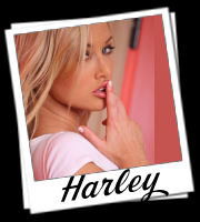 http://theklassykat.com/user_images/tkk_harley.jpg